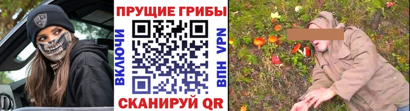 закладка  Яранск  Псилоцибиновые грибы ЛСД 